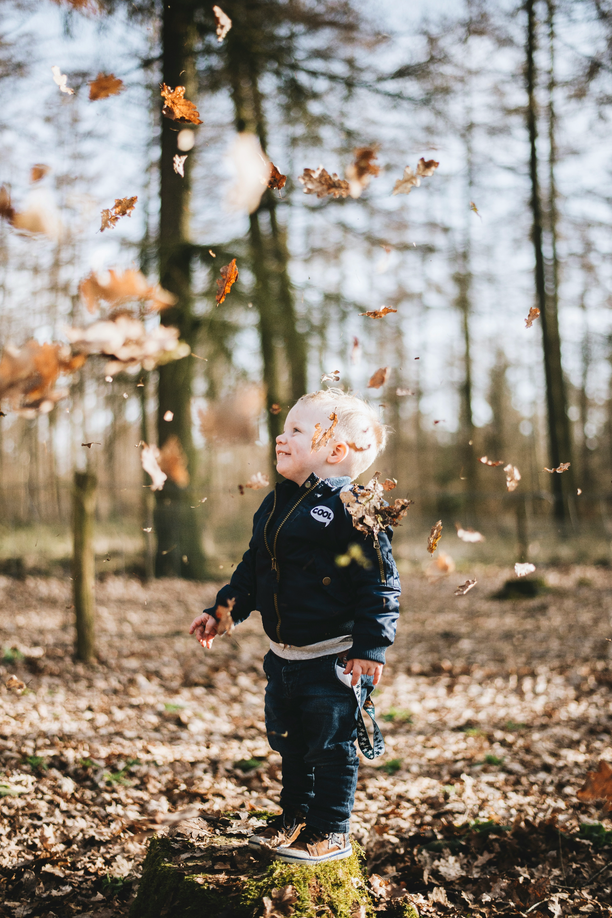 L'automne et la nature : traquer et jouer dans la nature