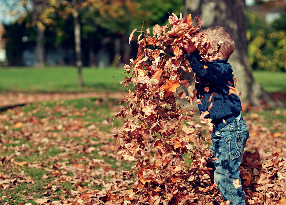 L'automne avec les petits