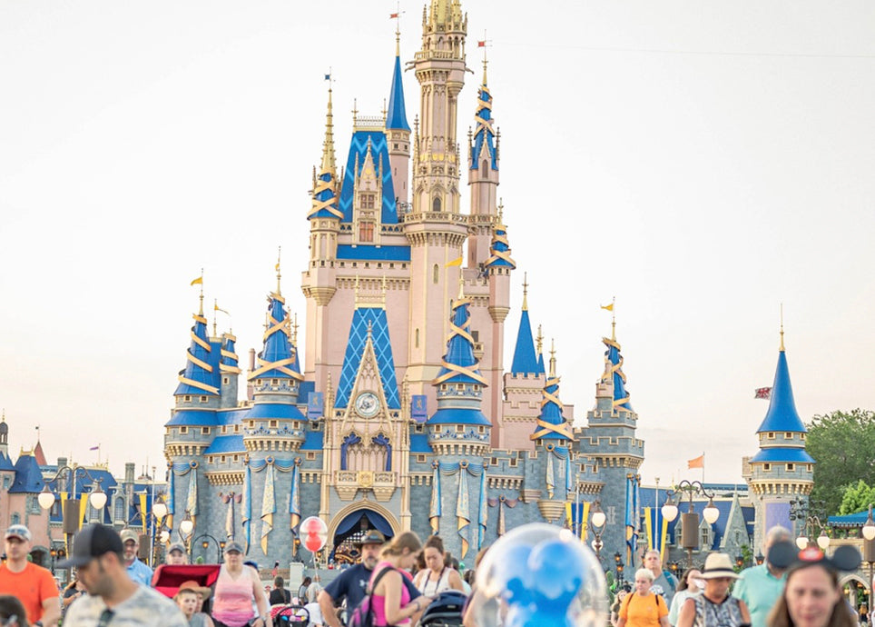 Une nuit à Disneyland