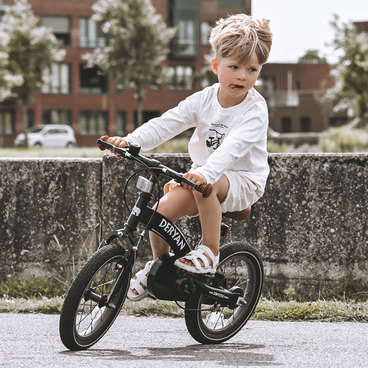 Vélo de luxe pour enfants 14 pouces - 3 en 1 - vélo d'équilibre - Rose